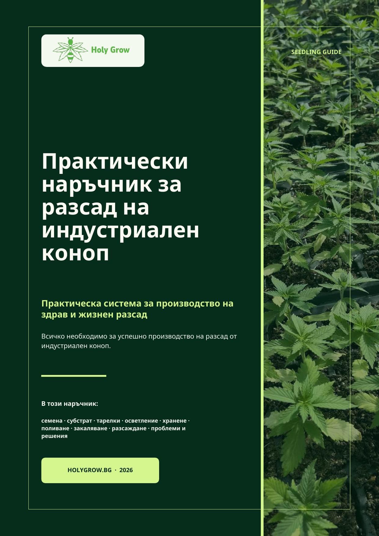 Industrial Hemp Seedling Guide